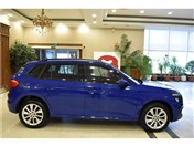 Skoda KAMİQ 1.0 TSI ELITE DSG