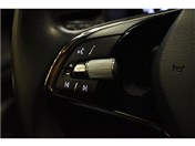 Skoda KAMİQ 1.0 TSI ELITE DSG