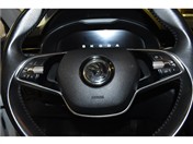 Skoda KAMİQ 1.0 TSİ ELİTE