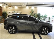 Hyundai Tucson 1.6 CRDİ ELİTE PLUS